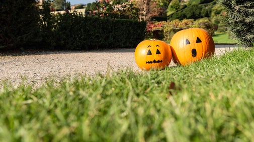 Two pumpkins with hand-drawn faces sit on the grass beside a garden path, with Powis Castle rising above the terraced gardens in the background beneath a bright autumn sky.